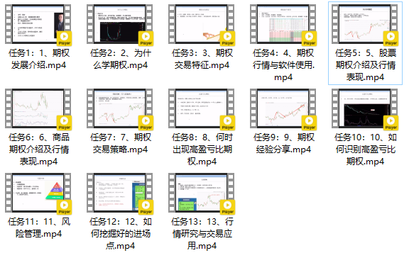 期权交易，从入门到精通（价值980元）