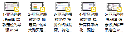 恐龙跨境-爆款定位高客单产品蓝海同质化战略